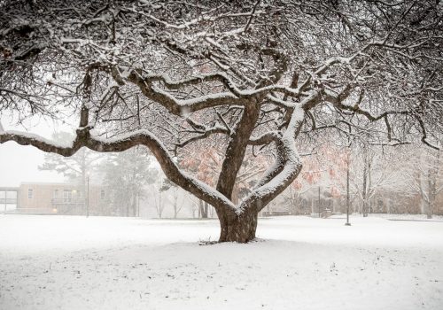 Campus Quad in the snow