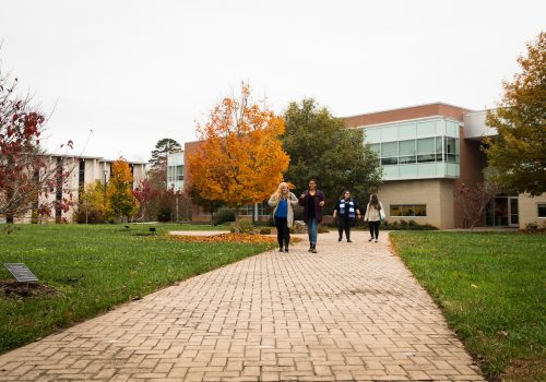 Students walking through the smaller quad