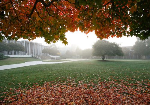 ramsey library and the quad in the fall, view from under a tree